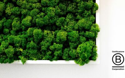 4C certificata B Corporation™: un percorso di crescita responsabile