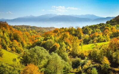 Prodeco Pharma e l’impegno concreto alla responsabilità